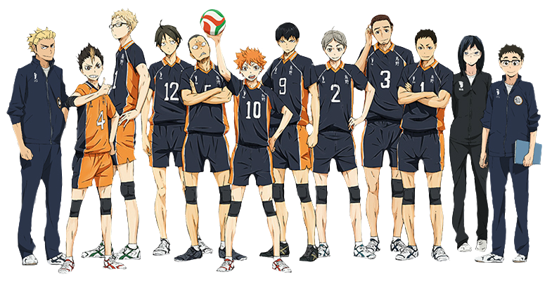volleyball team numbers