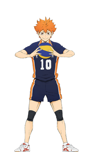 Shōyō Hinata | Haikyuu!! Wiki | Fandom