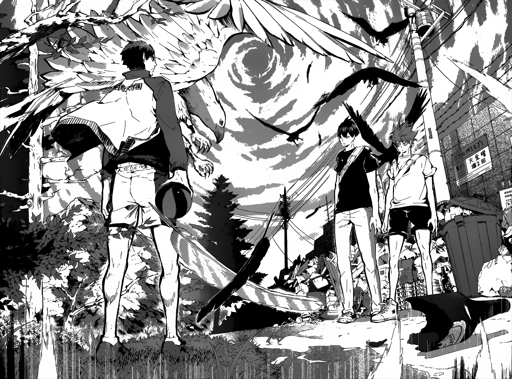 Obraz - Ushijima kageyama i hinata.png | Haikyuu!! Wiki | FANDOM