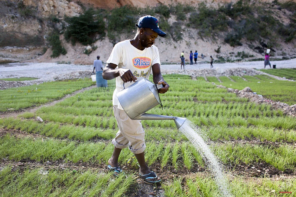 FondsVerrettes Haiti Local FANDOM powered by Wikia