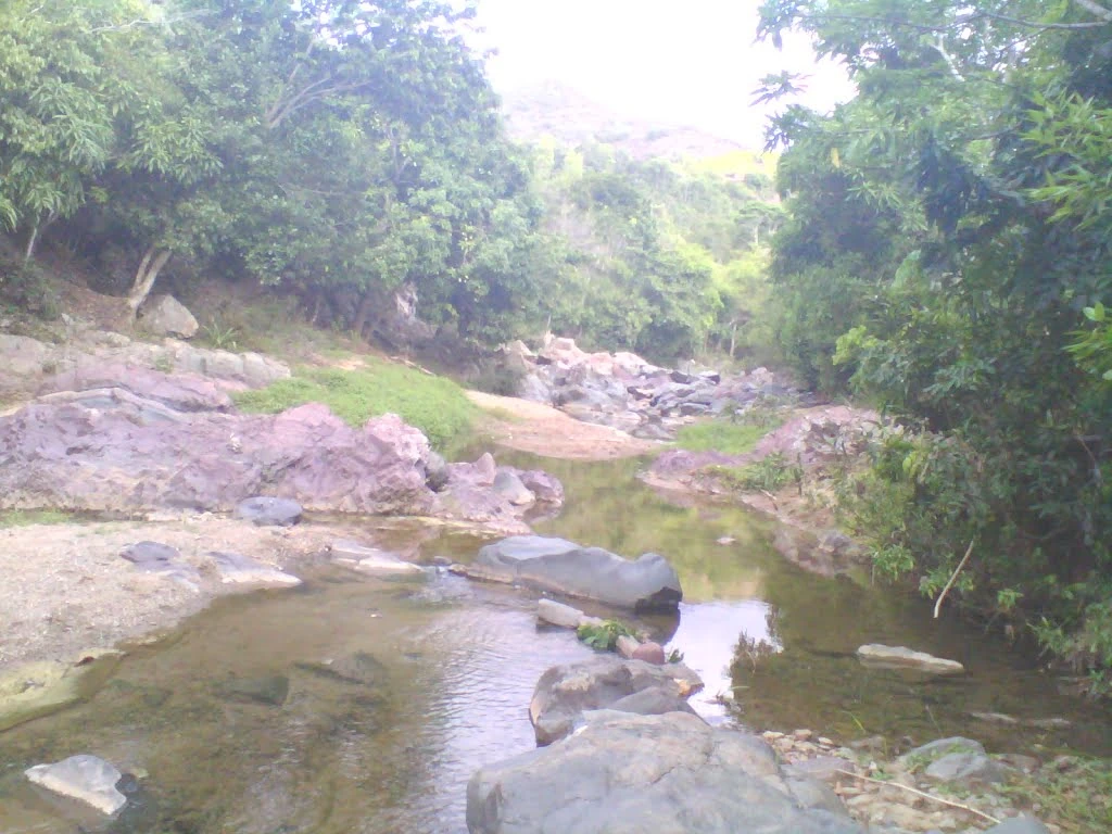 SainteSuzanne Haiti Local FANDOM powered by Wikia