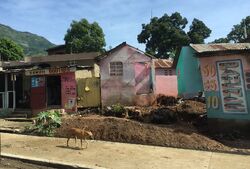Limbe 60219 c