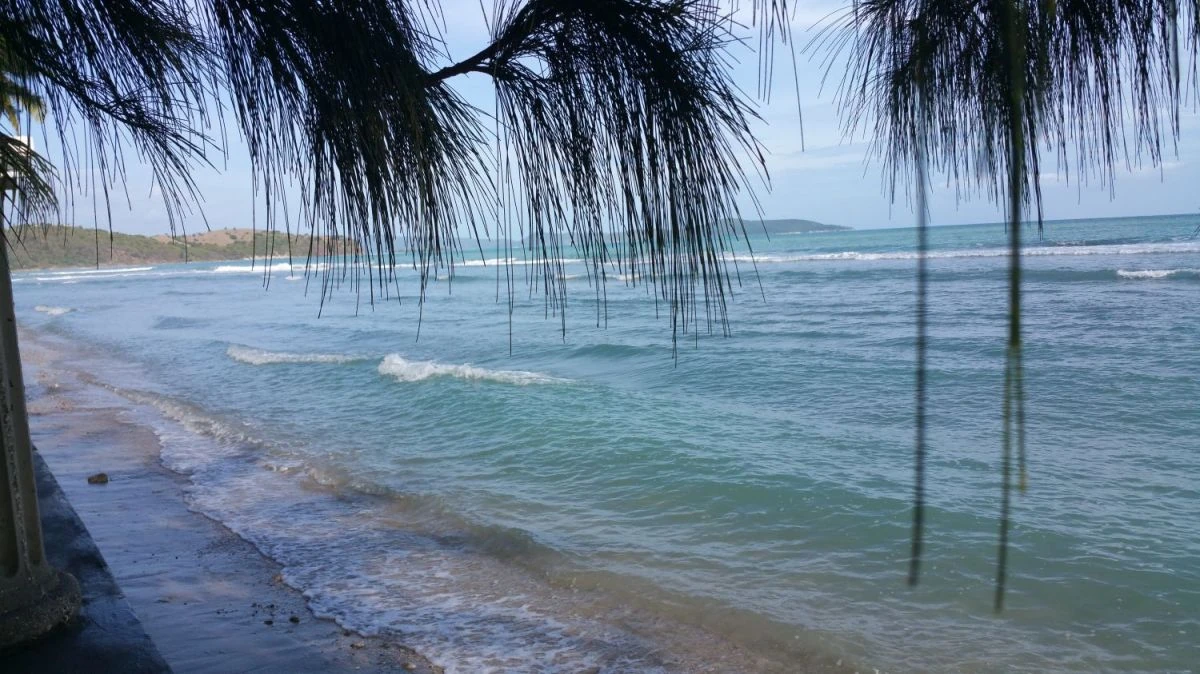 SaintLouisduSud Haiti Local FANDOM powered by Wikia