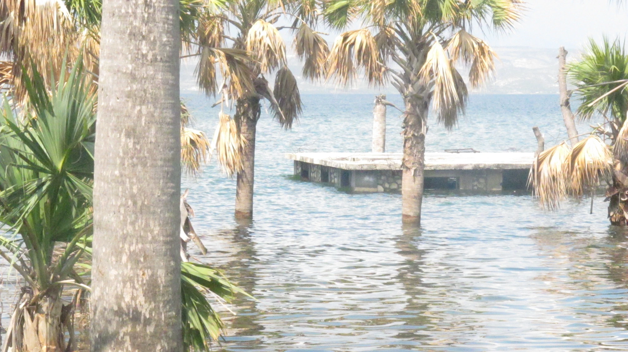 FondParisien Haiti Local Fandom