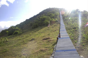 LesMarches jpg w300h201