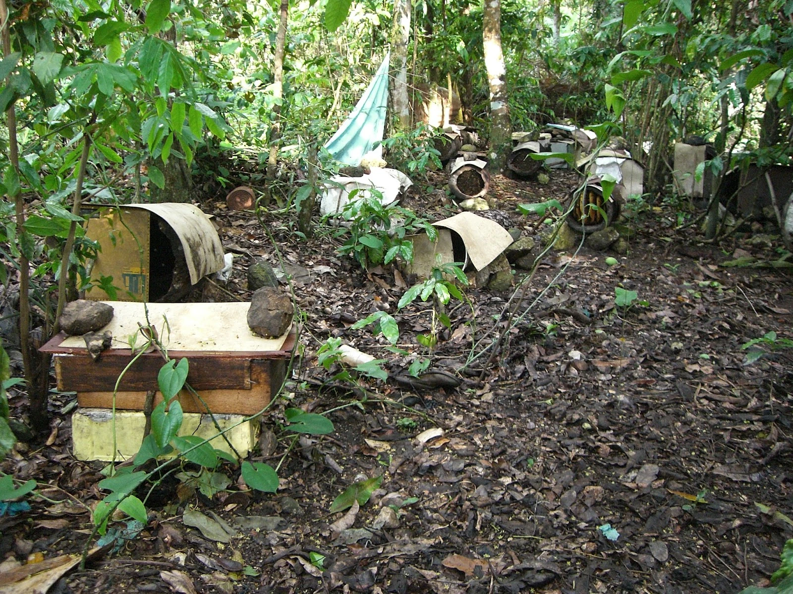 PlaisanceduSud Haiti Local Fandom