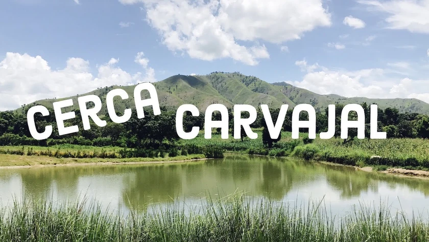 CercaCarvajal Haiti Local Fandom