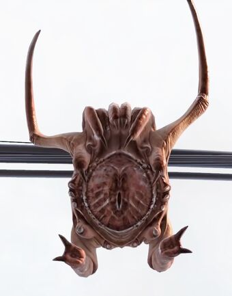 Headcrab Half Life Wiki Fandom