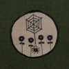 Spider and flowers