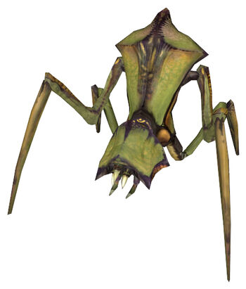Antlion Antlion