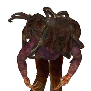 Roblox Headcrab Zombie