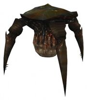 Gonarch model