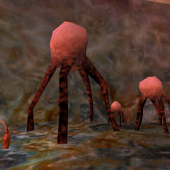 Xen | Half-Life Wiki | FANDOM powered by Wikia
