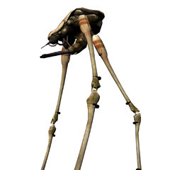 Striders