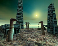 Xen trees sun