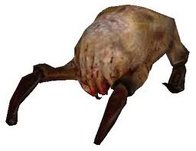 Headcrab standard