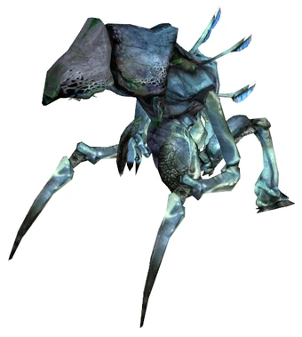 Antlion Queen Half Life Fanon Wiki Fandom