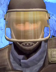 Westy