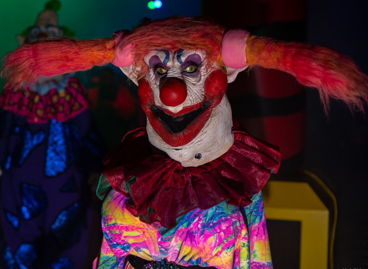 Daisy the Clown Girl | Halloween Horror Nights Wiki | Fandom