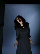 Universal universal credit Universal universal credit