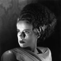 The Bride Of Frankenstein Halloween Horror Nights Wiki Fandom