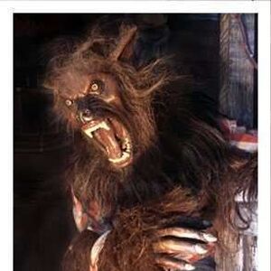 The Big Bad Wolf Halloween Horror Nights Wiki Fandom