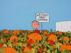Linus in the pumpkin patch