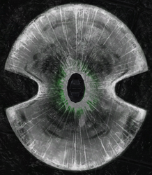 Jackalshield