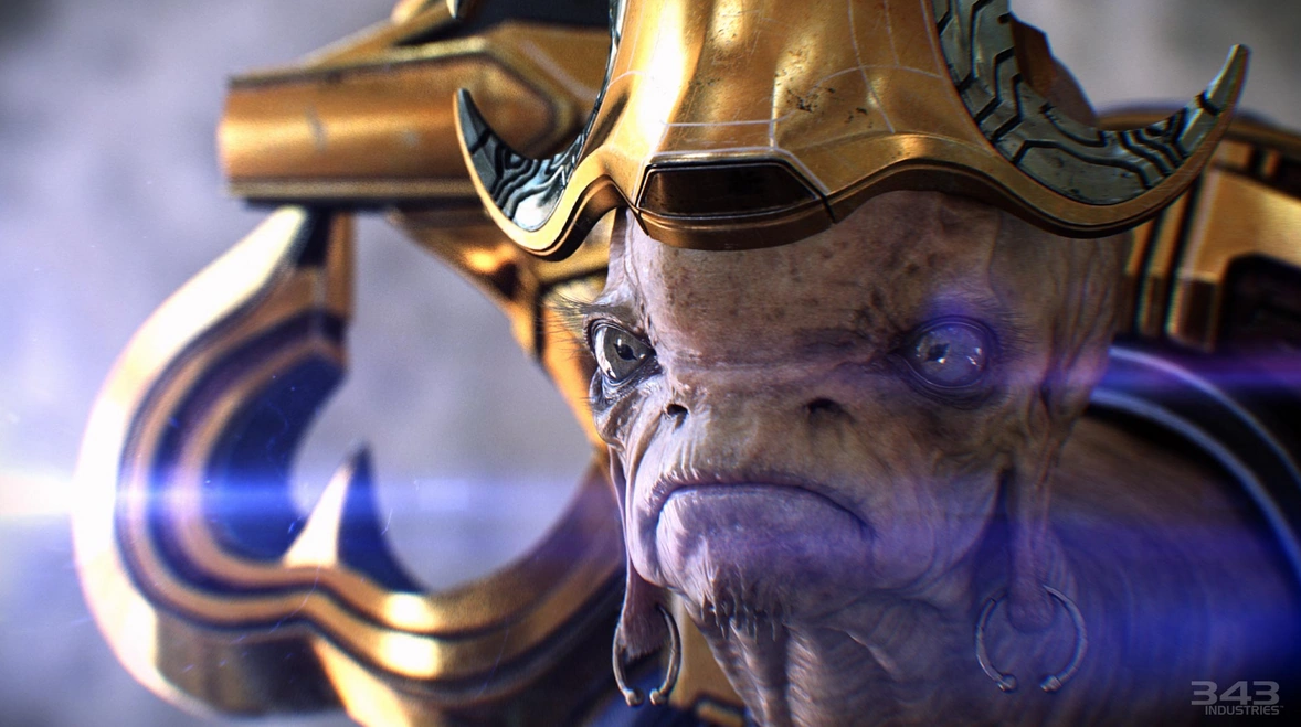 Profeta del Pesar Halopedia FANDOM powered by Wikia