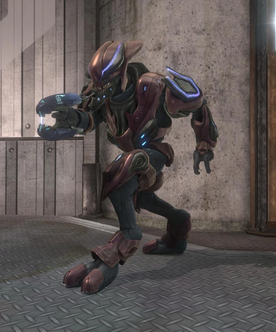 Image Sangheili Zealot.jpg Halo Nation FANDOM powered by Wikia