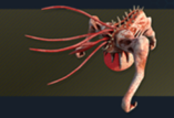HW2-Infestor