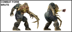 Brute form