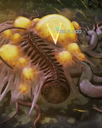 Flood Spore Mound Halo Alpha Fandom