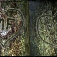 Carved Letters In Sierra 117 Halopedia Fandom