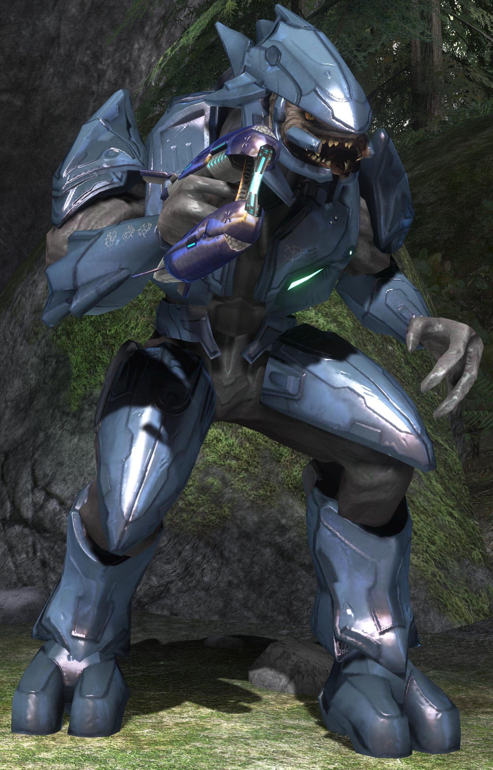 halo elite halo elite