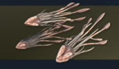 HW2-SeederInfectors