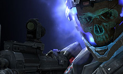 Bungieday