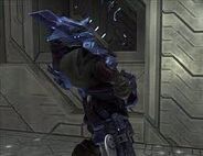 Brute orinando
