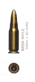 01 Ammo -BR55
