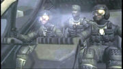PelicanPilots1