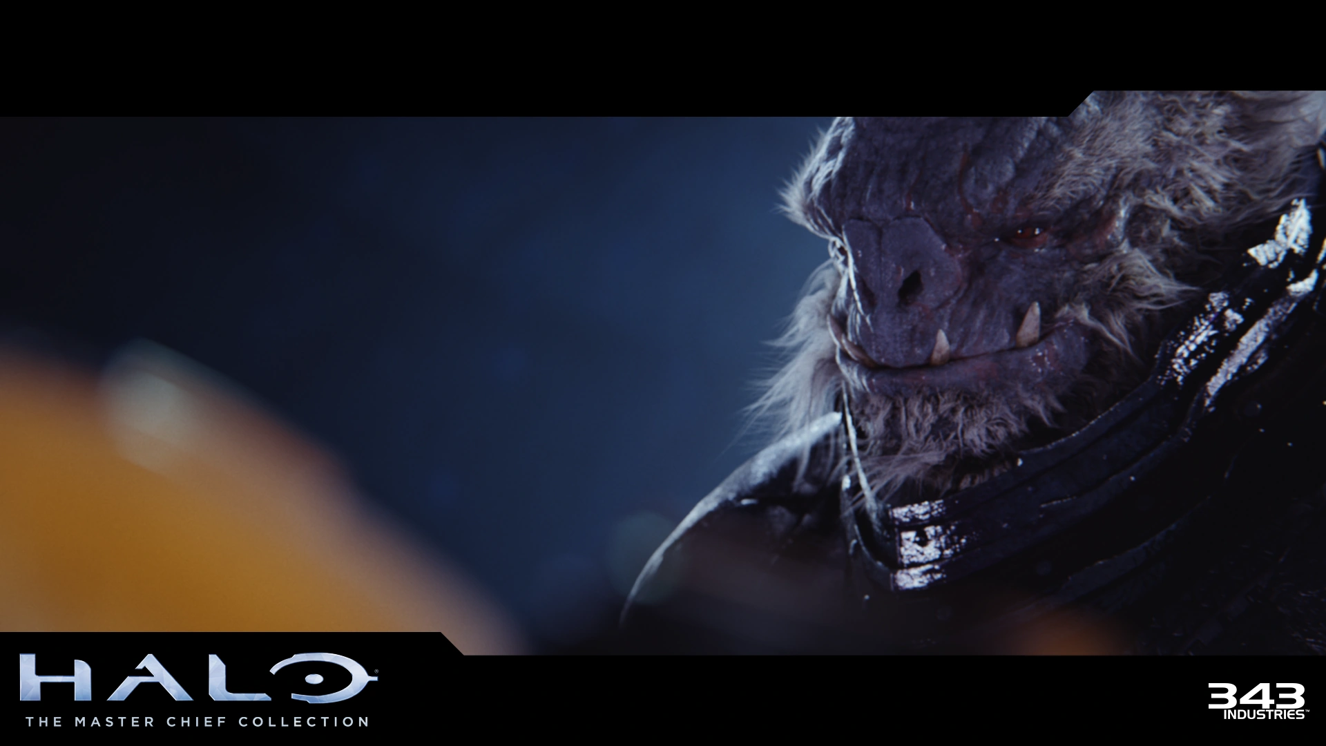 skulltaker-halo-2-iwhbyd-halo-nation-fandom-powered-by-wikia