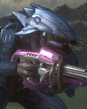 Covenant Army Halopedia Fandom