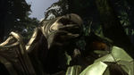 Arbiter Jungle2