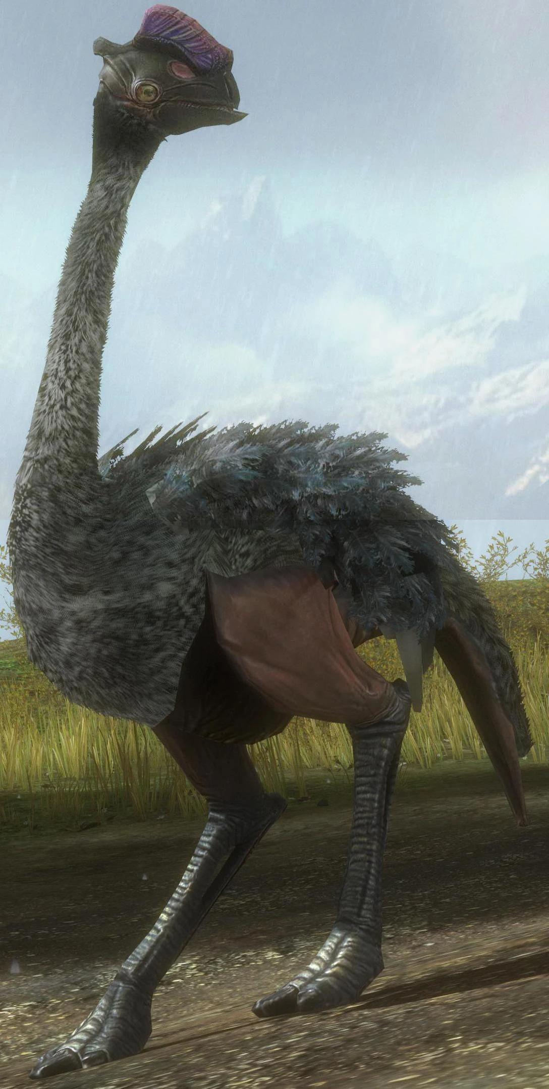 Moa | Halopedia | FANDOM powered by Wikia