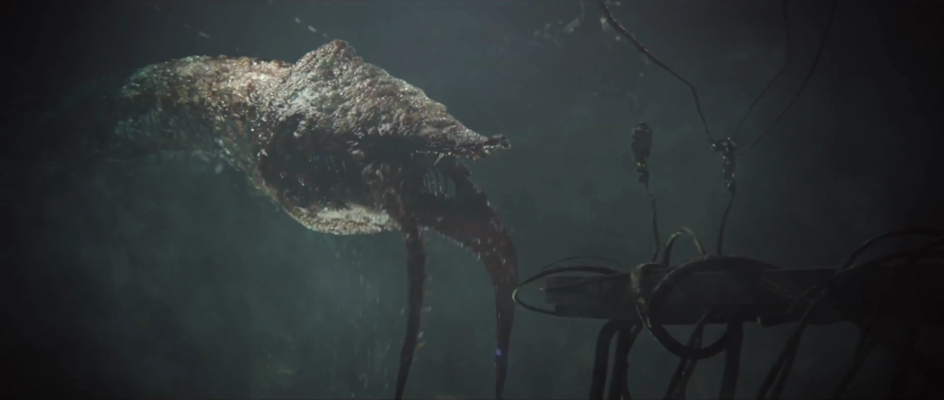 gravemind-halo-nation-fandom-powered-by-wikia