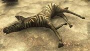 Cebra dead