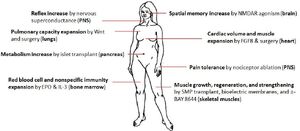 Model augmentations