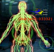 D3332AugPro