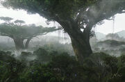 NamleeTree