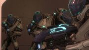 Ranger Sangheili Group
